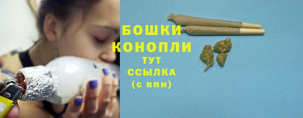 сатива Богородицк